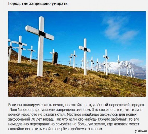 Умирать в этом городке запрещено законом Умирать в этом городке запрещено законом