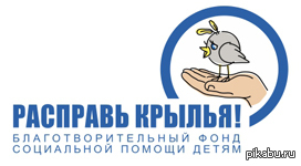 Фонд социальной поддержки. Расправь Крылья фонд. Расправь Крылья благотворительность. Крылья благотворительный фонд. Логотип фонда Расправь Крылья.