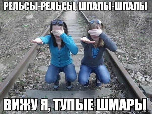 Тупая И Смешная Картинка