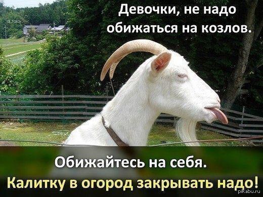 закрой калитку