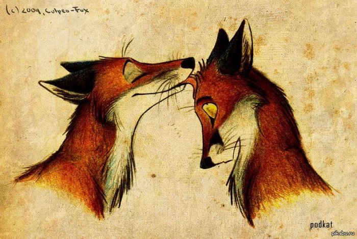 Милы лисички:3