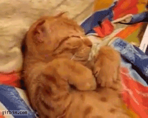 -Сынок, вставай! - Мам, мне ко второй...)