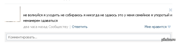 Я упоротый и не намерен сдаваться