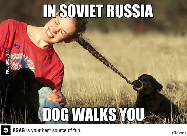 Memez. In Soviet Russia Мем. Раша дог. Soviet Dog meme. Walking you like a Dog Мем.