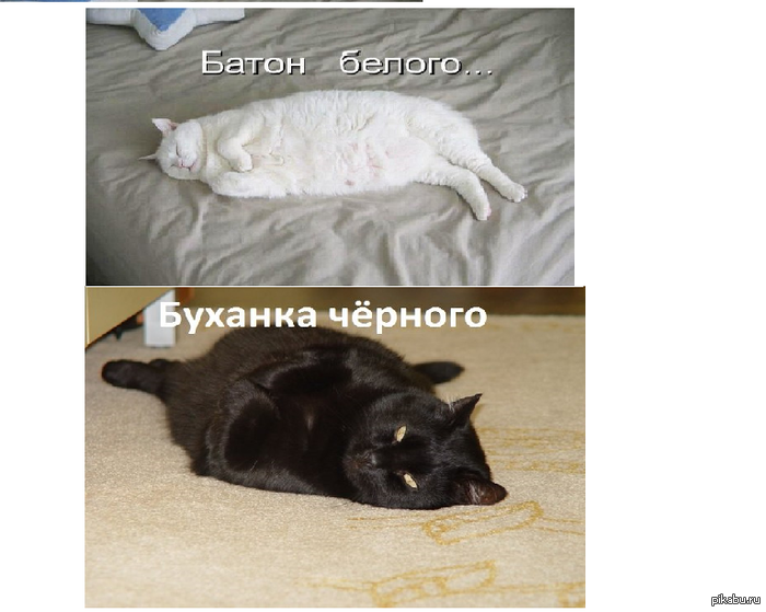 батон белого и буханка чёрного))