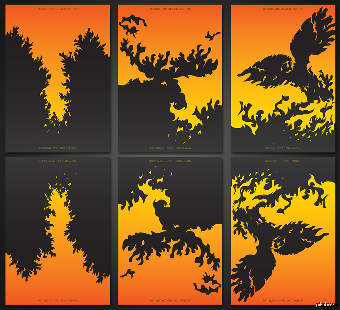 ����� ���������� ��������-������������ �� ��������� ������� � ����