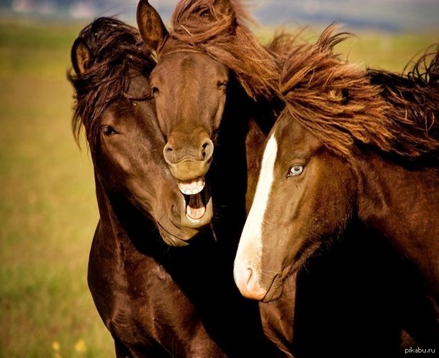 ����� ������ �������, ��� ����� ����� ���� � �����, � ������� ��������� ����������