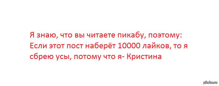 ���� ���������