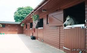 =)       =),  !!           !!