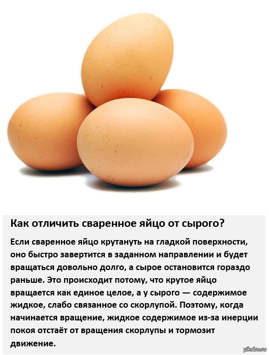 Как отличить сырое. Факты о яйцах куриных. Интересные факты о яйцах. Факты о вареных яйцах. Яйцо полезные вещества.