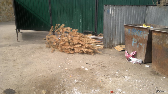 ������� ( 7 ������ ) ����� �������� ����� � ������ ���...