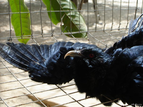 ����� ������ ������ ��������?