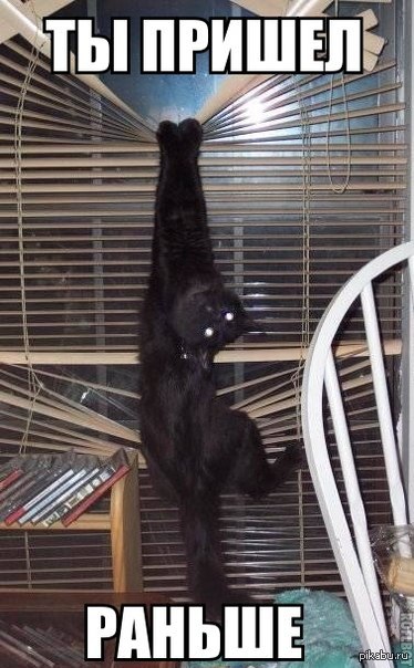 � � ��� ���.. ��������