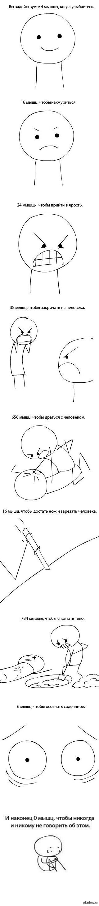 Немножко анатомии. | Пикабу