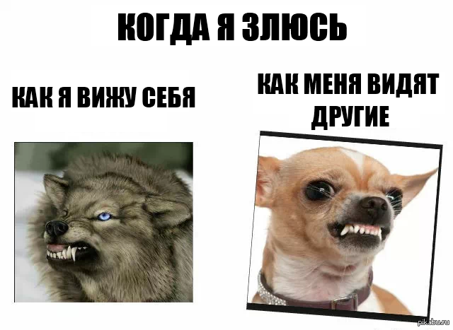 Не надо злиться картинки с надписями