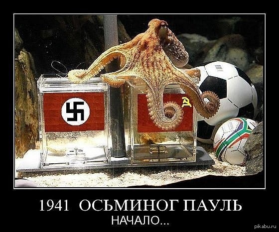 1941. Осьминог Пауль. Начало...