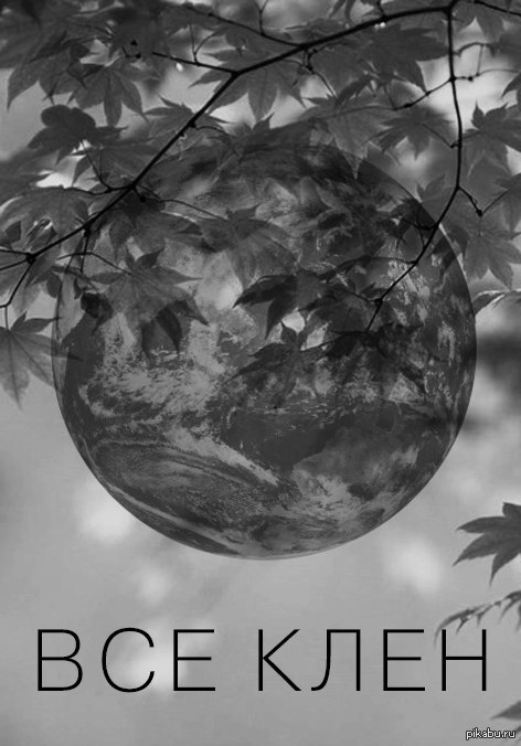 Все клен | Пикабу