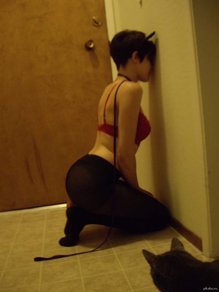 ��� ���� ��� ��� �����...