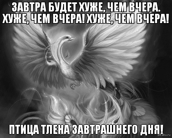 Слова песни птица счастья завтрашнего дня. Пусть птица счастья завтрашнего дня. Экзистенциальный ужас Мем. Завтра будет хуже чем вчера. Не дать экзистенциальному ужасу.