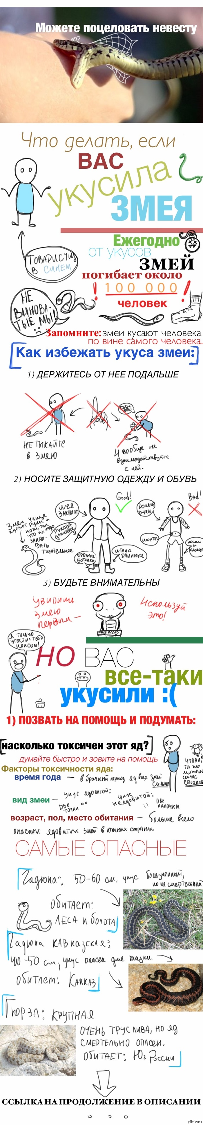  ,    ?  2 http://pikabu.ru/story/chto_delat_esli_vas_ukusila_zmeya_2_1157566