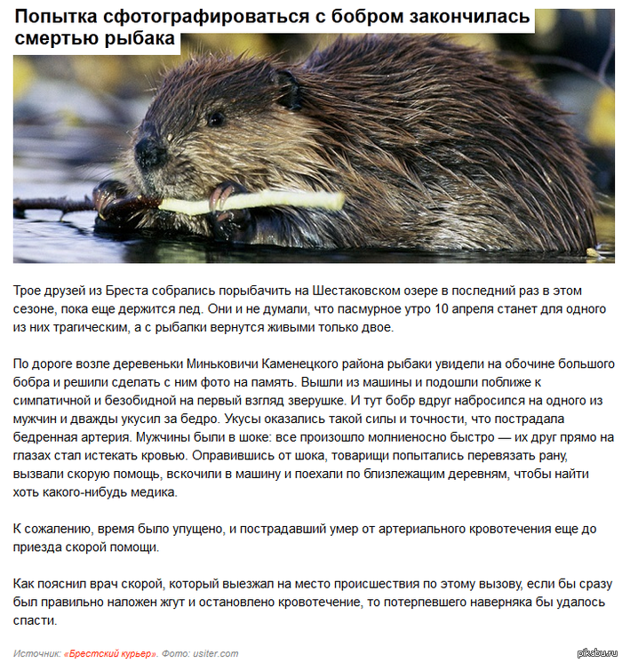 ������ �������