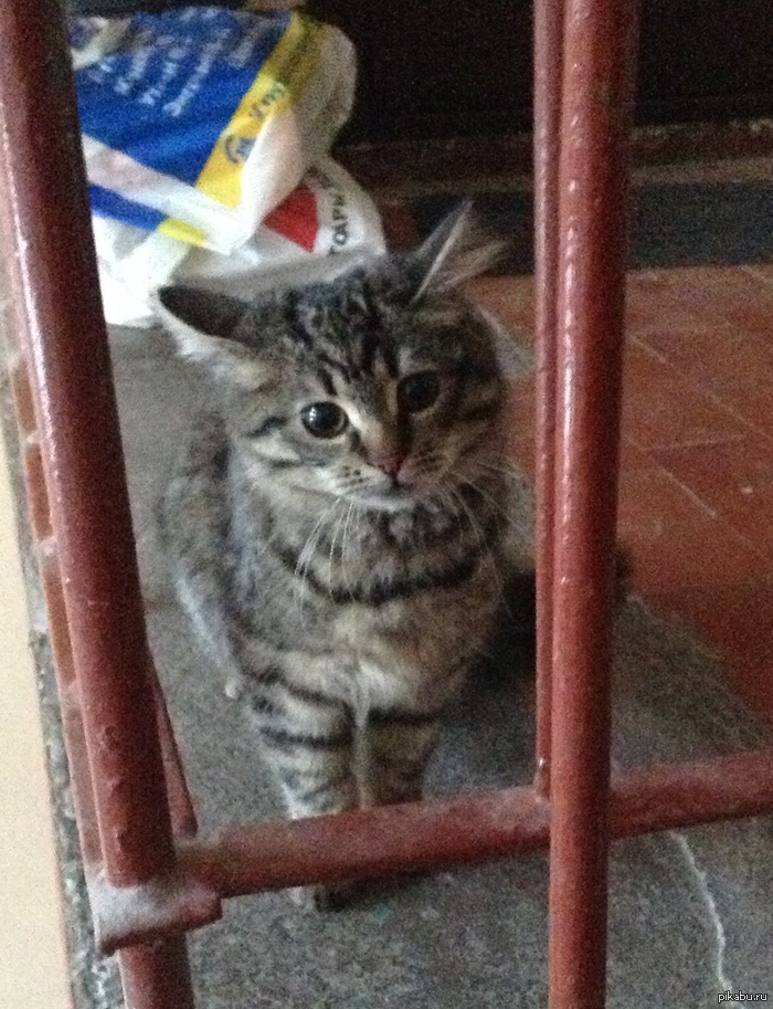 ������ ��� ������ ����� ������, �� ����� ����� ���������� ����