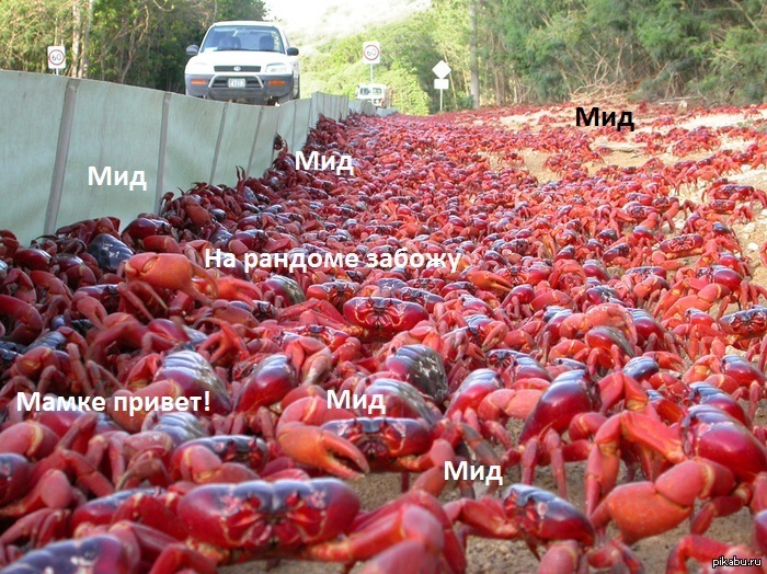 Dedicated to all players of MOBA games. - Dota, Crayfish, Meade, Random, Hopelessness, Cancer and oncology