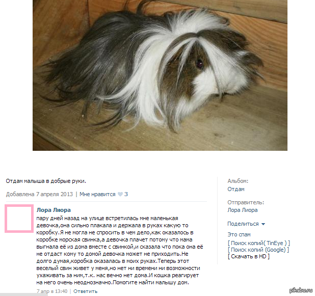 ��������, �� ����� ��� �����??��� ������ �����.