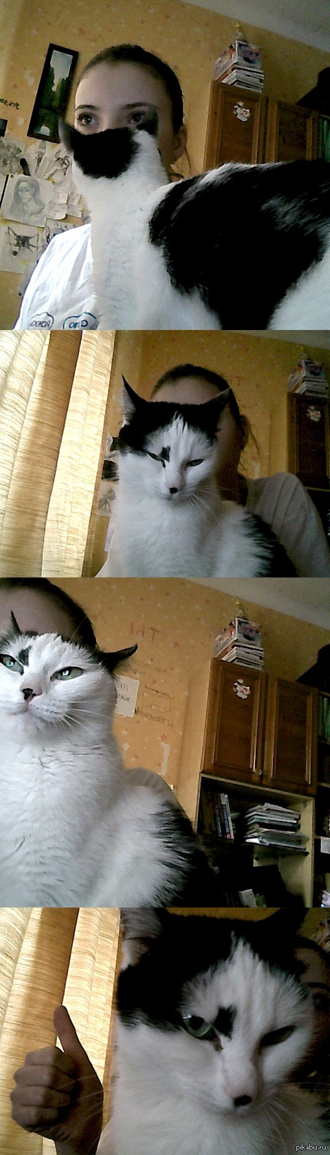 ��� �����