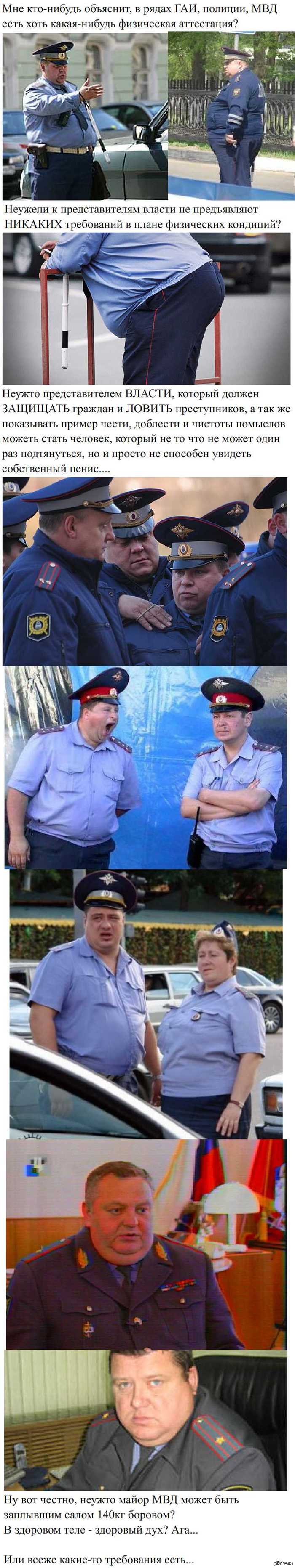 Вопрос пикабушникам про слуг народа...