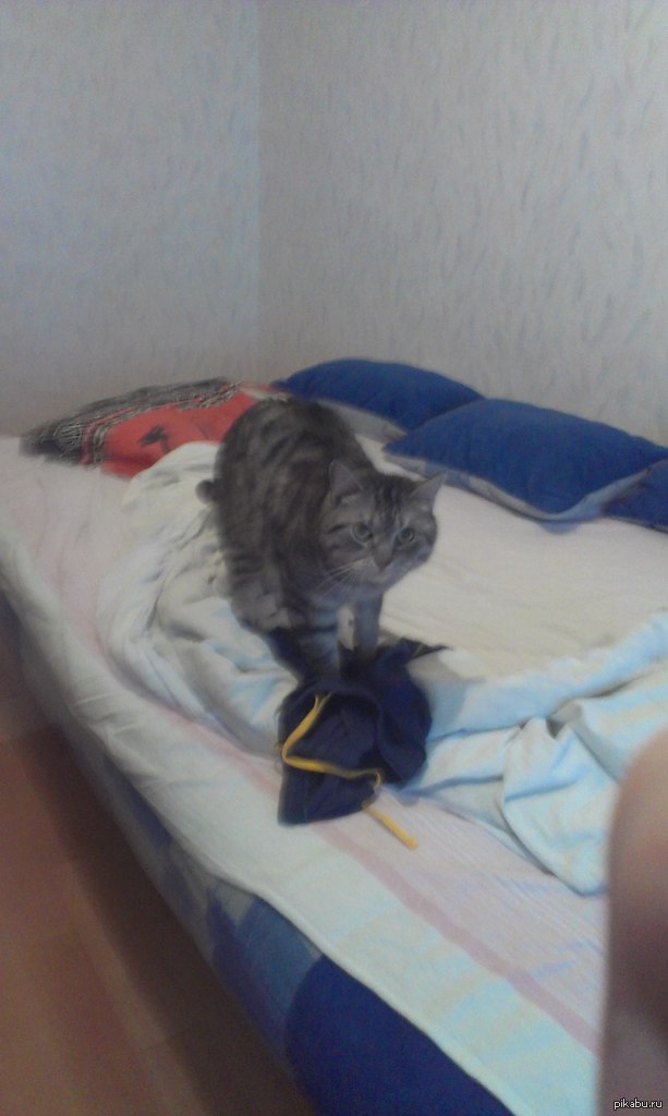 ���� ��� ���� ������