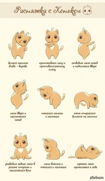 Растяжка с котиком