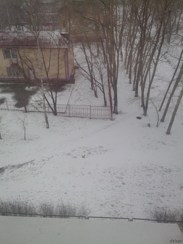 ����� ������ �������, � ������� ����(