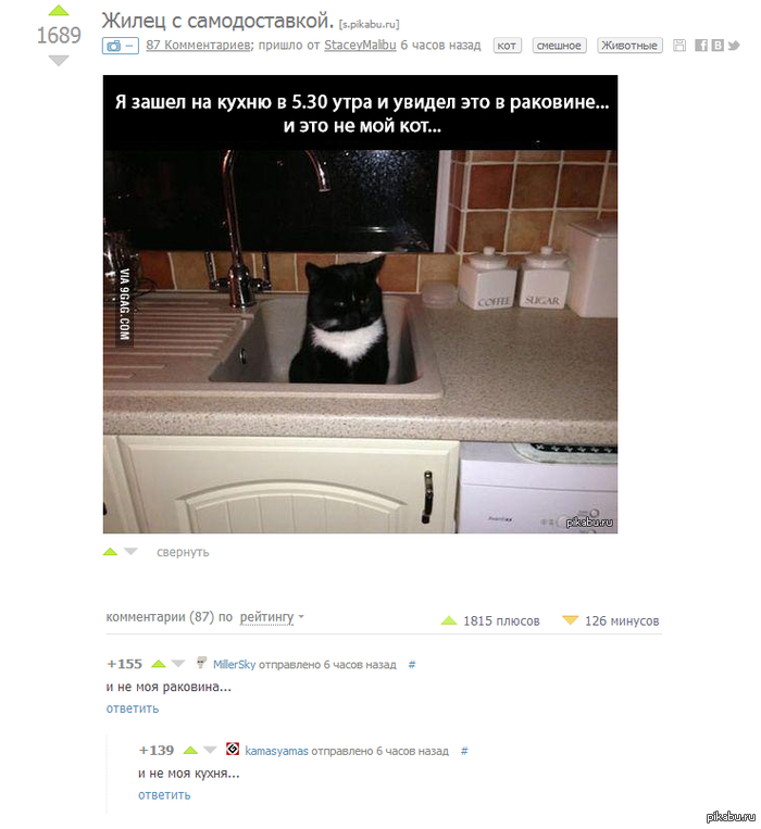 ���� ����� �� ������