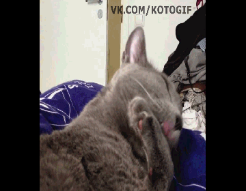   ? 