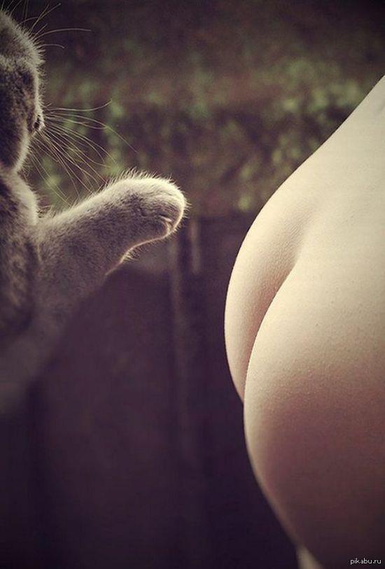 Great weekend to everyone - NSFW, cat, Booty