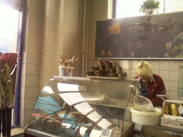 ��� ��������� (������ ������)