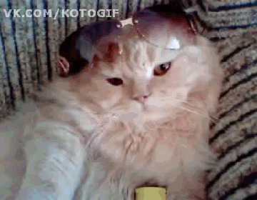   ! 