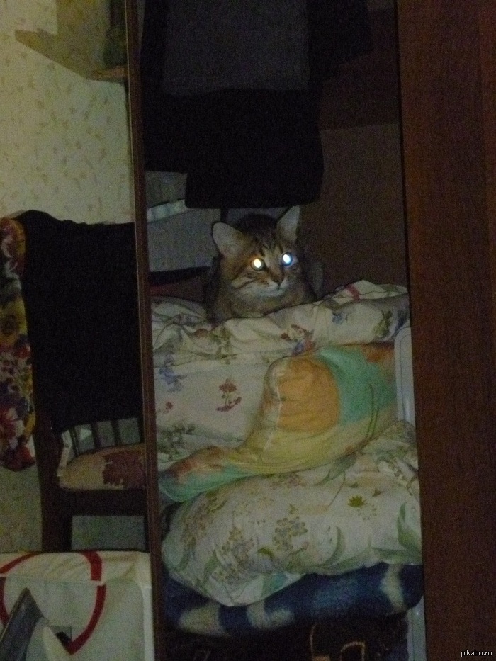 ������� ��