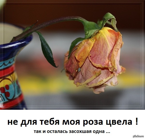 Розы быстро вянут в вазе. Увядающий цветок. Букет завядших цветов. Завядшие тюльпаны. Завядший цветок.
