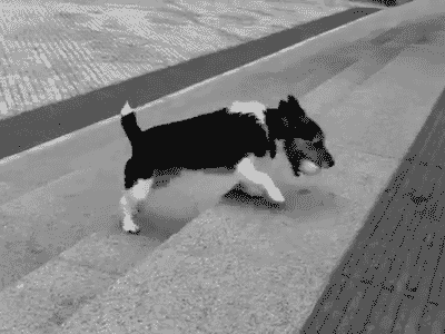 ������-������ �����������