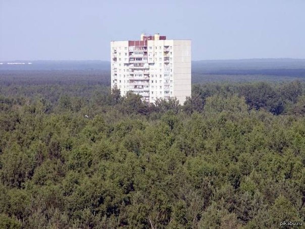 фото одинокий домик в лесу онлайн фото одинокий домик в лесу