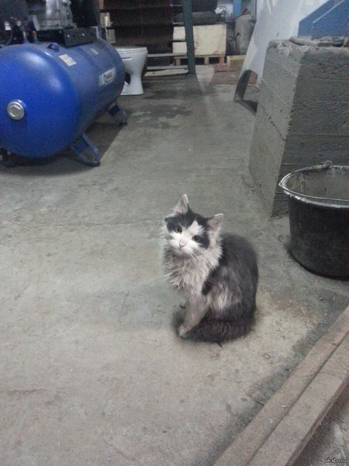 ��� �������. ��� ��������.