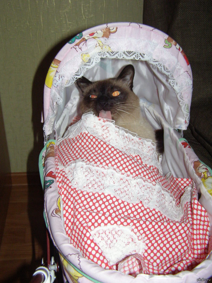 ��� � �������.