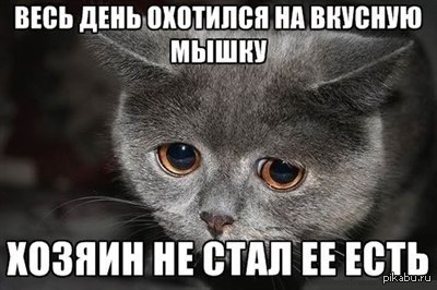 Человек себе не хозяин. Грустный кот Мем. Грустная мышка Мем. Мем с грсуьной мышкой. Котик дай денег.