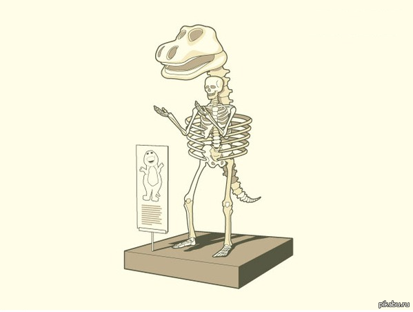 Занимательная анатомия