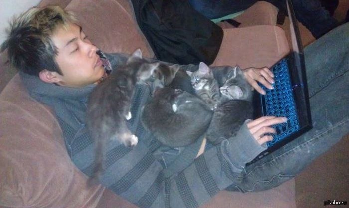 Споки ноки, пикабу)