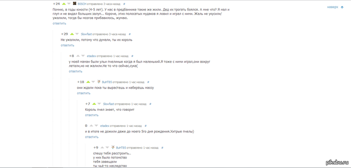 ������ ���� � ������ �������� �������