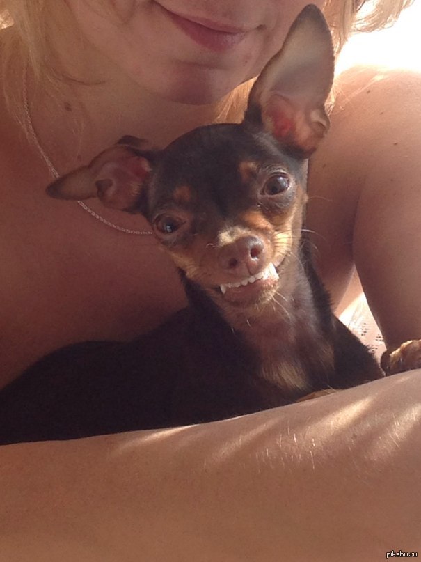 ������ ���� �������