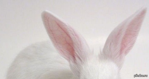 Неудачный пост